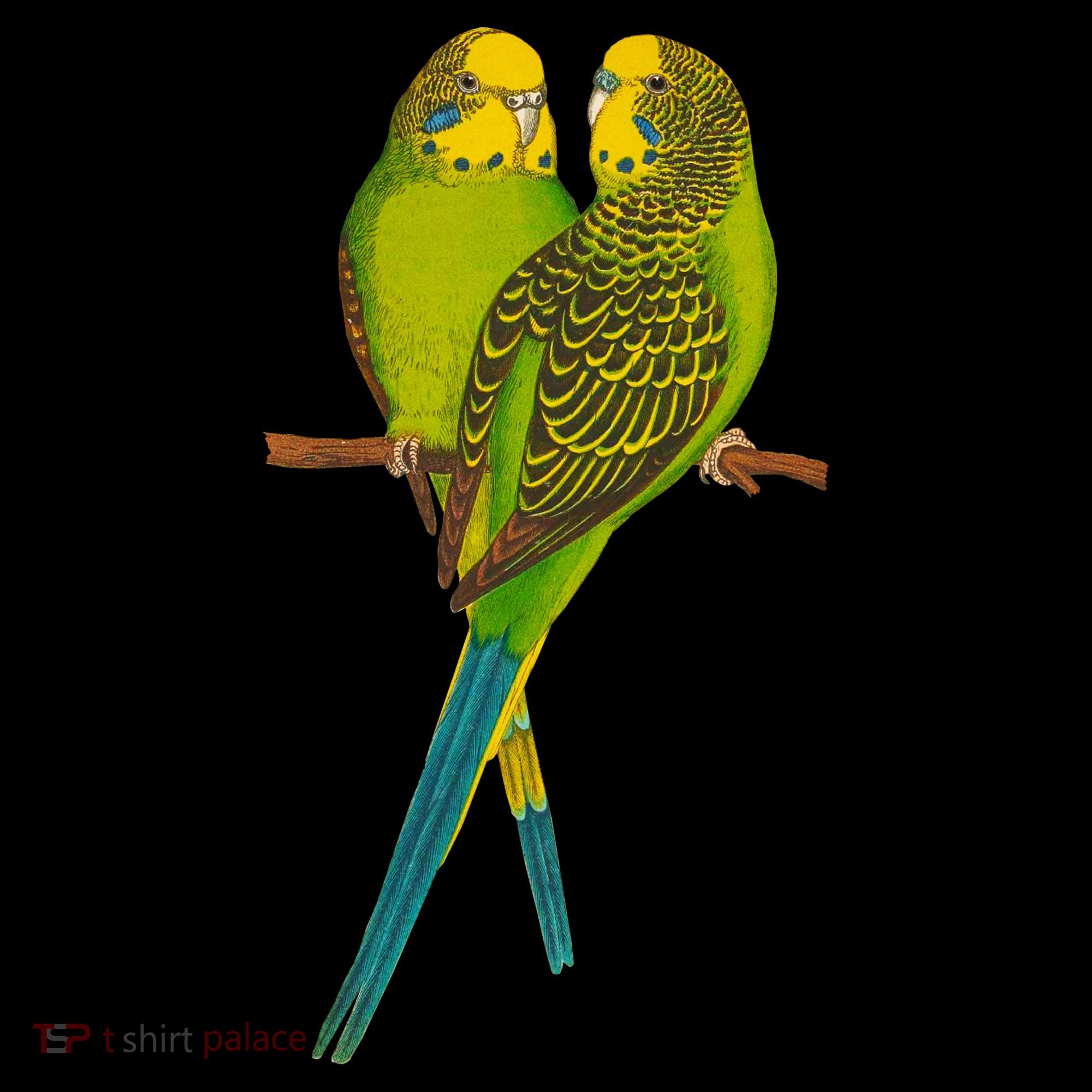 Green Parakeet Gift Cute Parakeets Budgie Bird Lover Coffee Mug