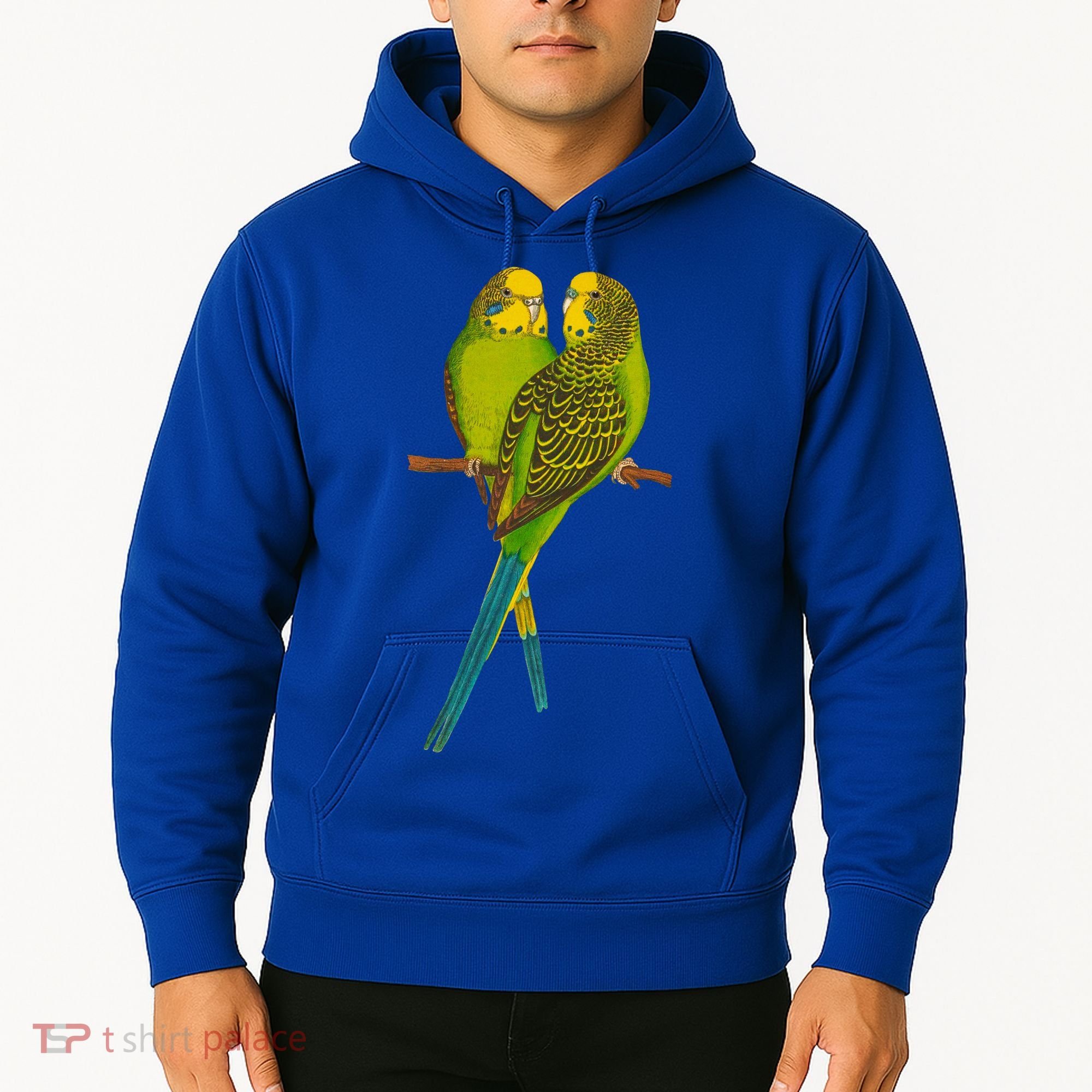 Green Parakeet Gift Cute Parakeets Budgie Bird Lover Hoodie