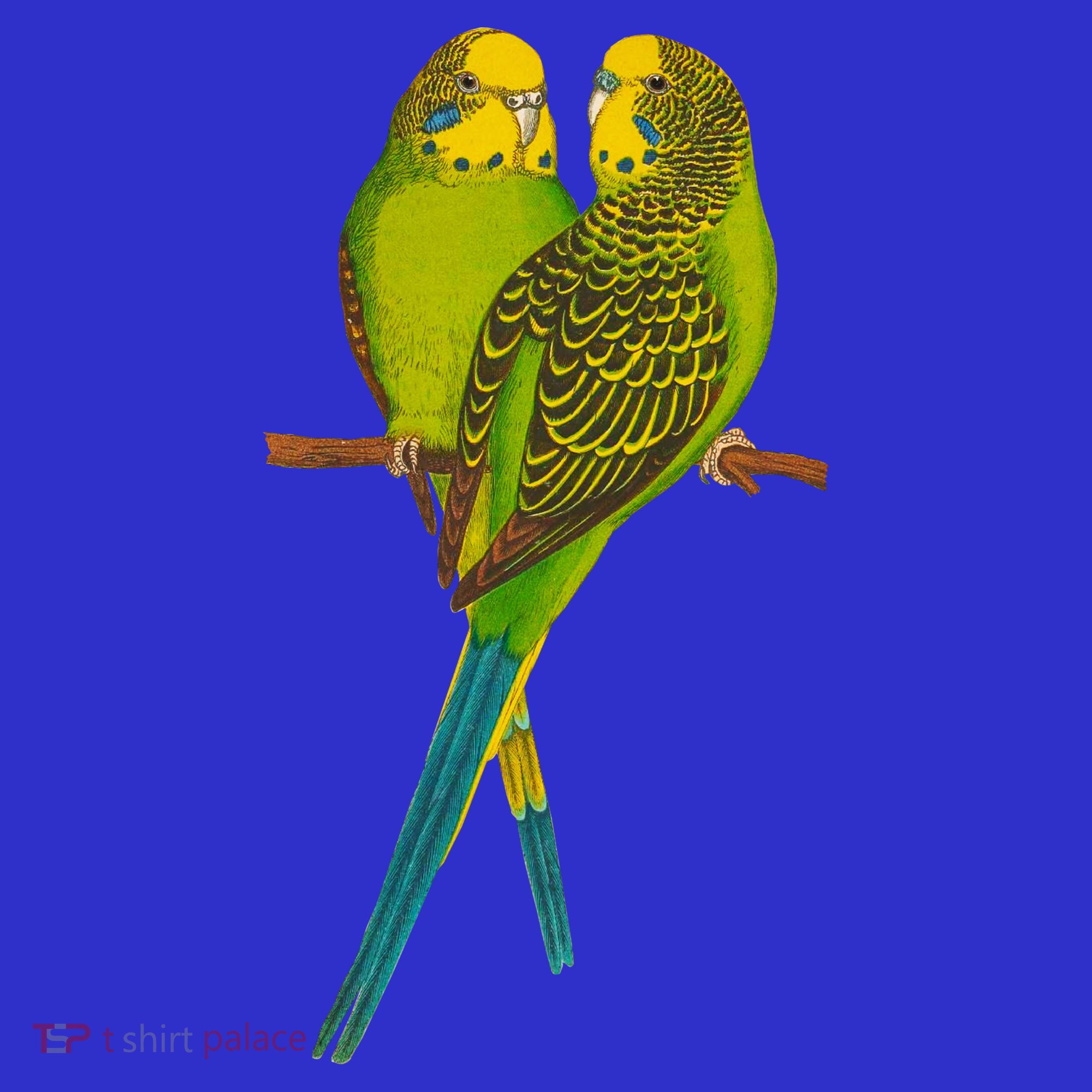 Green Parakeet Gift Cute Parakeets Budgie Bird Lover Visor