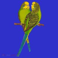 Green Parakeet Gift Cute Parakeets Budgie Bird Lover Kids Sweatshirt thumb 2