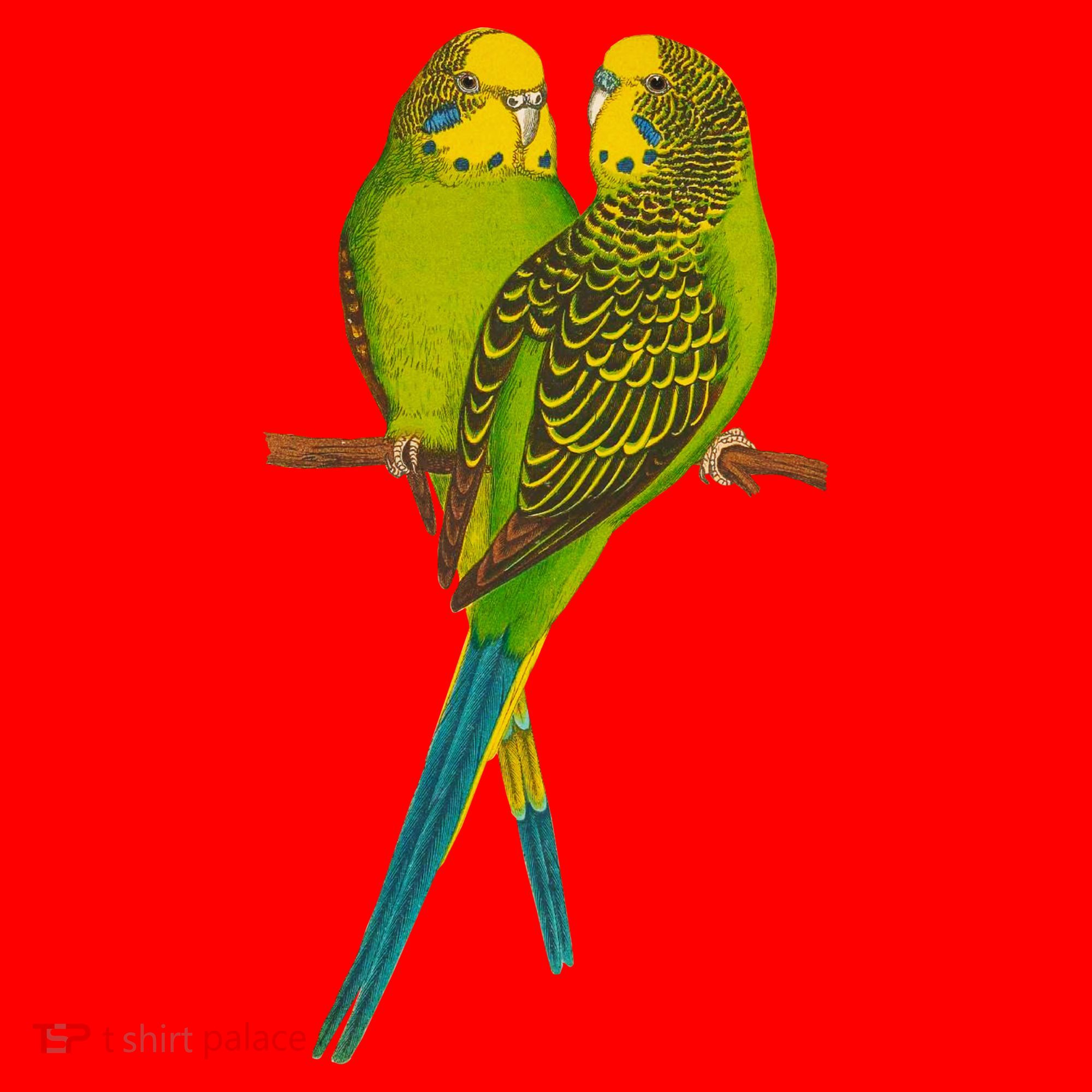 Green Parakeet Gift Cute Parakeets Budgie Bird Lover Santa Hat