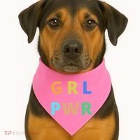Girl Power Logo USA-Made Doggie Bandana thumb 1