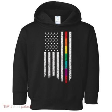 Thin Line Rainbow American Flag Toddler Hoodie