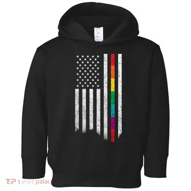 Thin Line Rainbow American Flag Toddler Hoodie