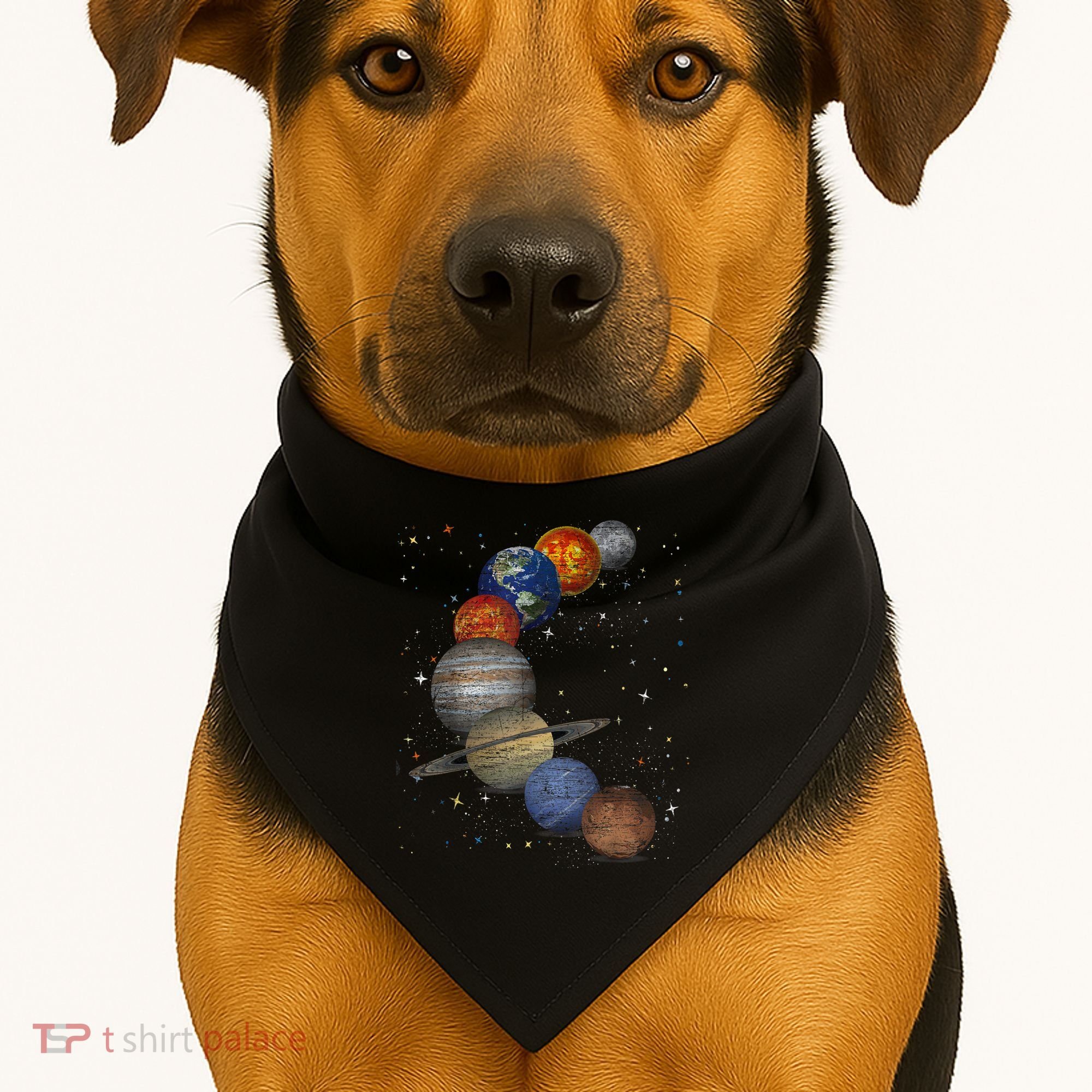 Galaxy Planets Sun Universe Outer Space Science USA-Made Doggie Bandana
