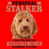 Goldendoodle Personal Stalker Funny Golden Doodle Mom Santa Hat thumb 1