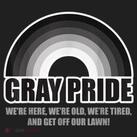 Gray Pride We're Here We're Old And Get Off Our Lawn Beanie thumb 2