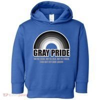 Gray Pride We're Here We're Old And Get Off Our Lawn Toddler Hoodie thumb 0