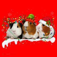 Guinea Pigs With Christmas Lights And Santa Hat Cute Xmas Santa Hat thumb 1