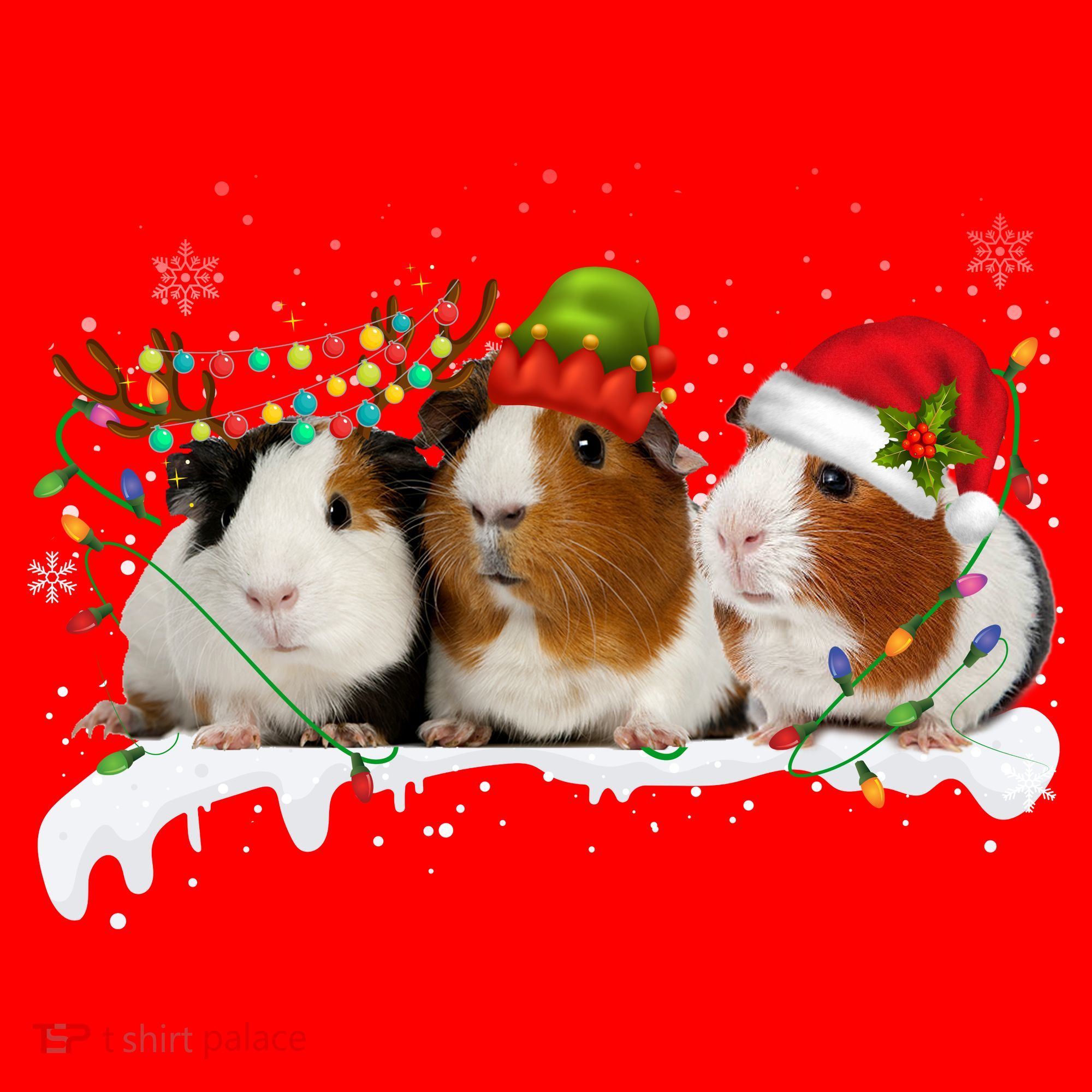Guinea Pigs With Christmas Lights And Santa Hat Cute Xmas Santa Hat