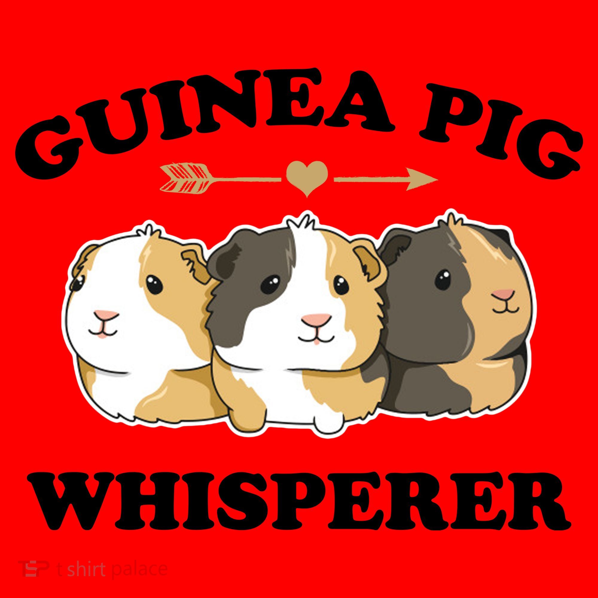 Guinea Pig Whisperer Santa Hat