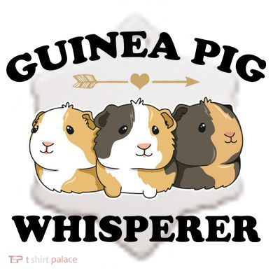 Guinea Pig Whisperer Ceramic Ornament