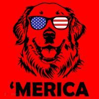 Golden Retriever 4th Of July Merica Santa Hat thumb 1