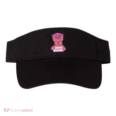 Visor