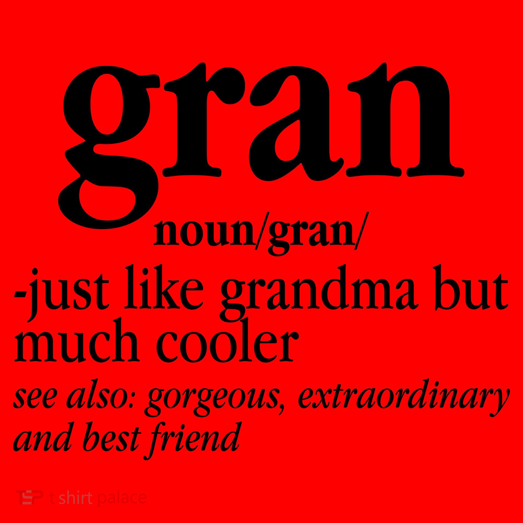 Gran Funny Definition Grandmother Santa Hat