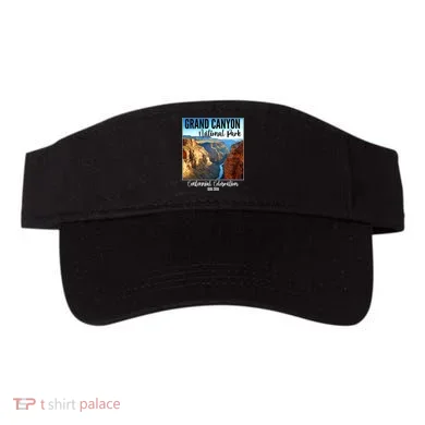 Visor