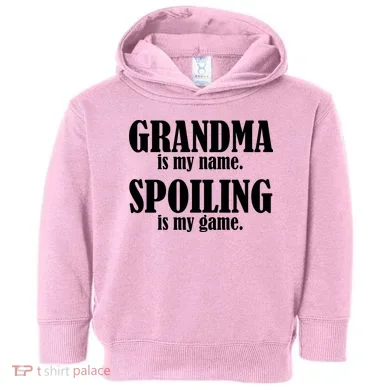 Toddler Hoodie