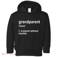 Grandparents A Parent Without Any Rules Toddler Hoodie thumb 0