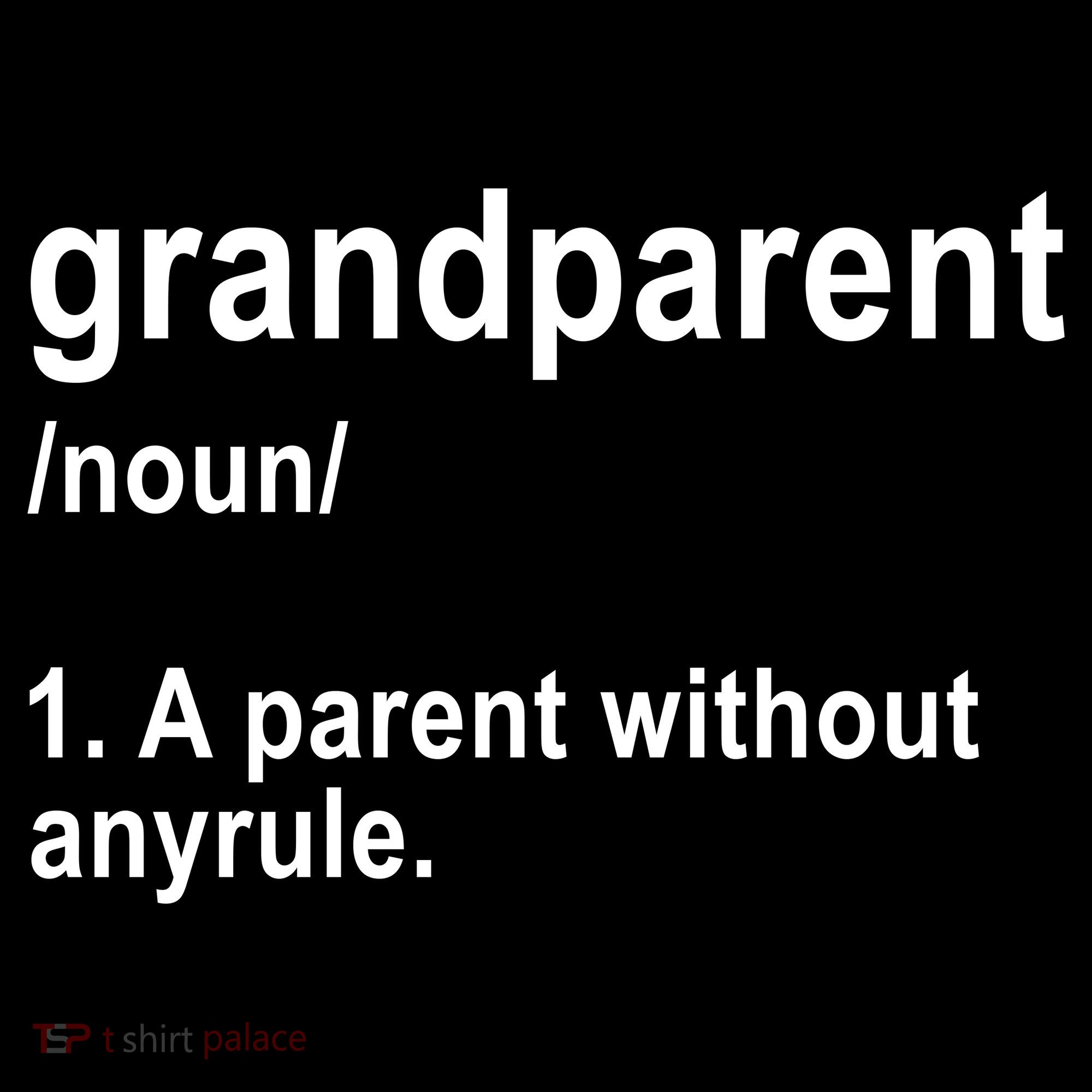 Grandparents A Parent Without Any Rules Toddler Hoodie