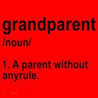 Grandparents A Parent Without Any Rules Santa Hat thumb 1
