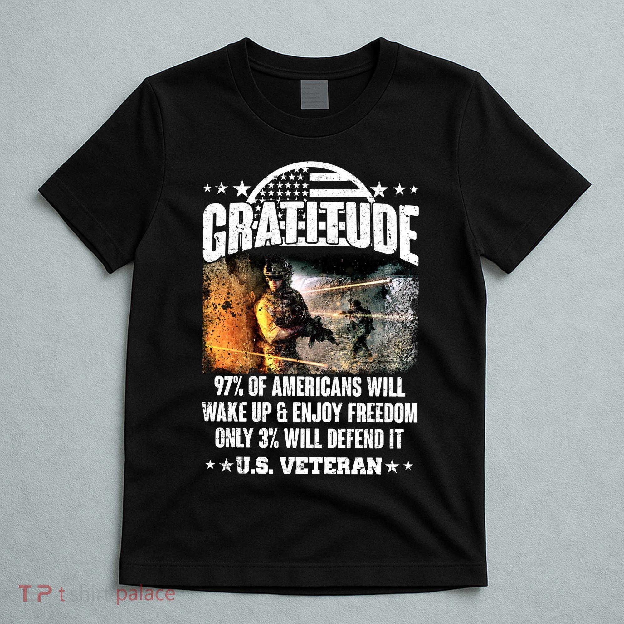 Gratitude United States of America U.S. Veteran Fact T-Shirt