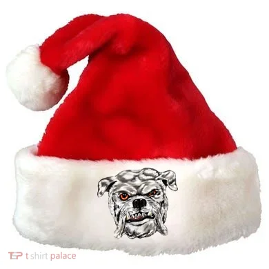 Santa Hat