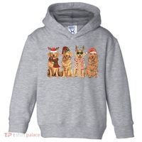 Golden Retriever Christmas Dogs Lights Toddler Hoodie thumb 0