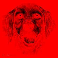 Golden Retriever Dog Santa Hat thumb 1