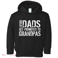 Great Dads Get Promoted To Grandpas Toddler Hoodie thumb 0