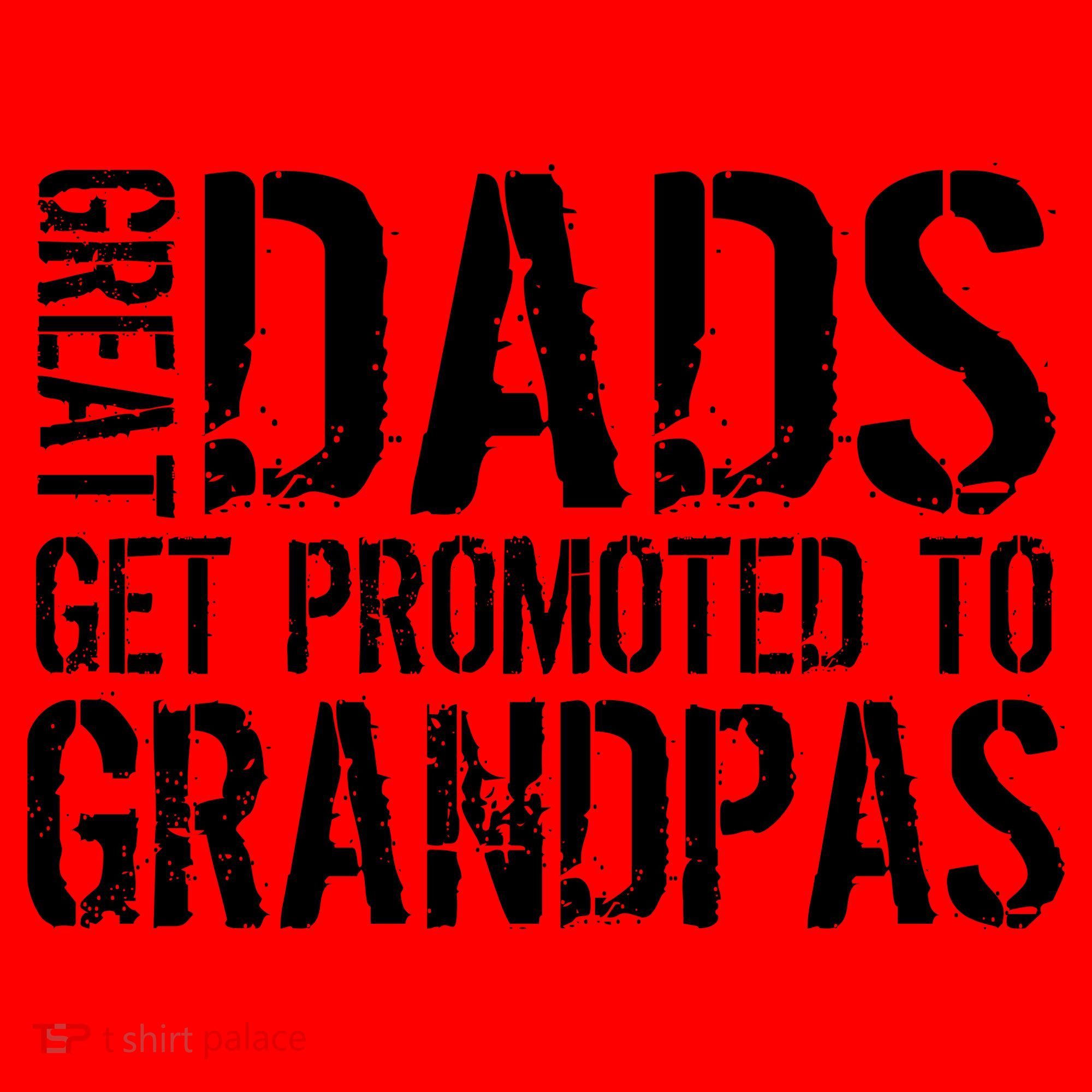 Great Dads Get Promoted To Grandpas Santa Hat