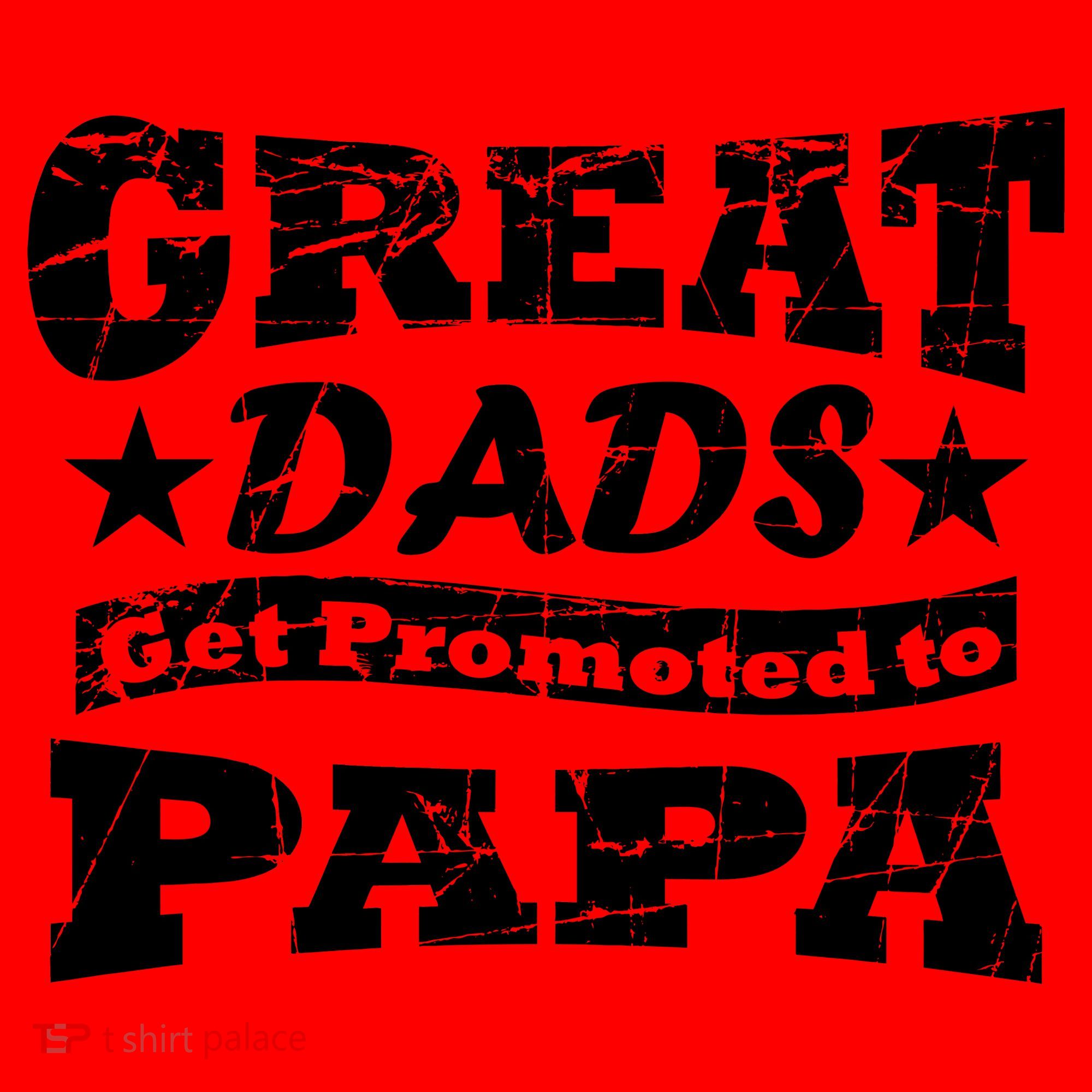 Great Dads Get Promoted To Papa Santa Hat