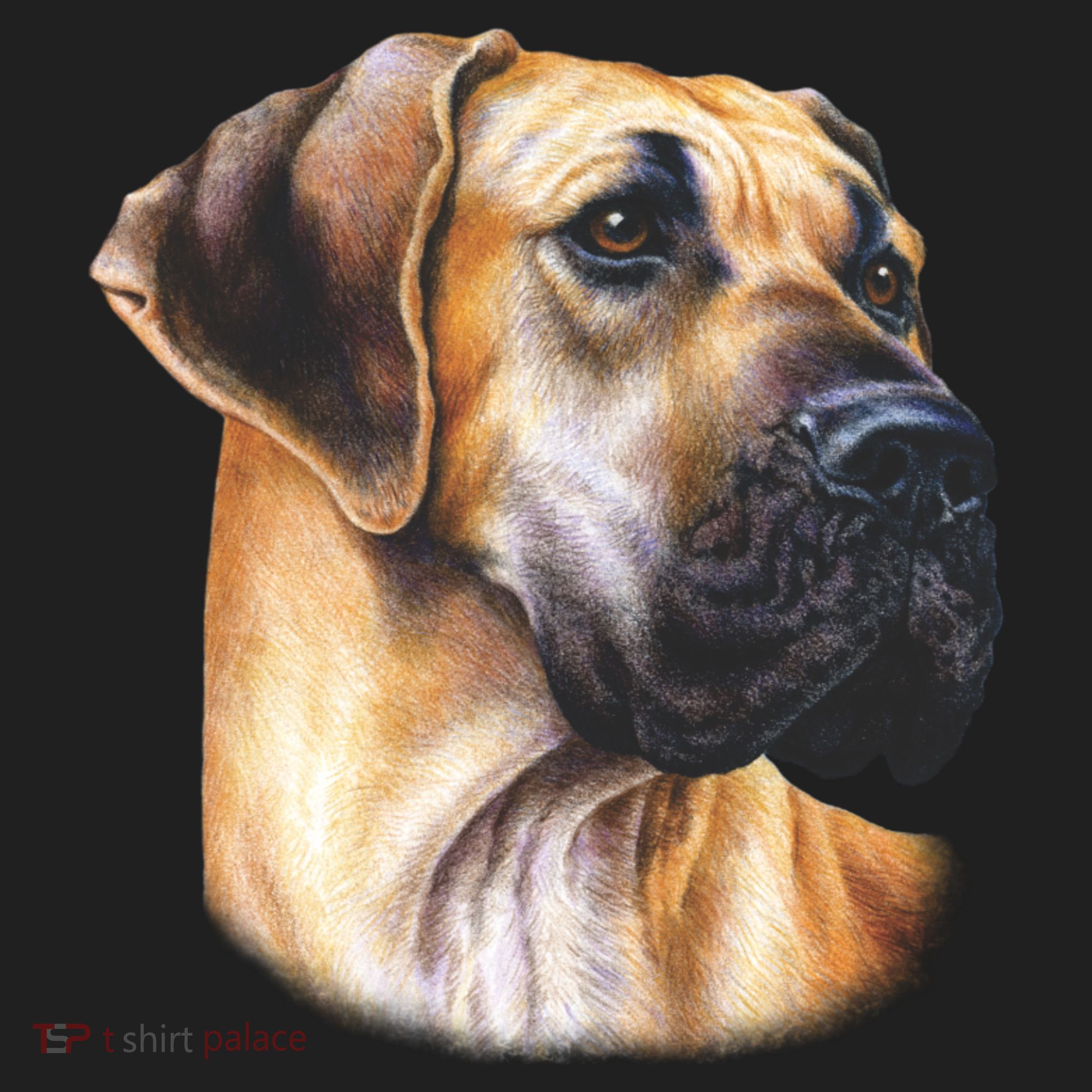 Great Dane Face Women's Sweatshirt