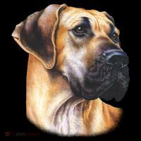 Great Dane Face Bucket Hat thumb 4