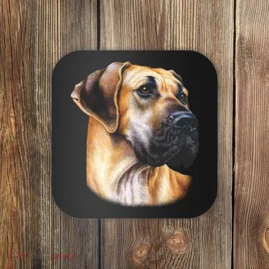 Coaster