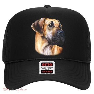 Great Dane Face Hat
