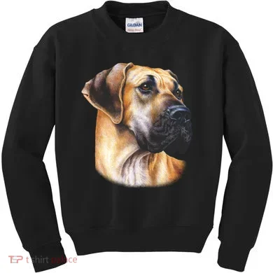 Great Dane Face Kids Sweatshirt