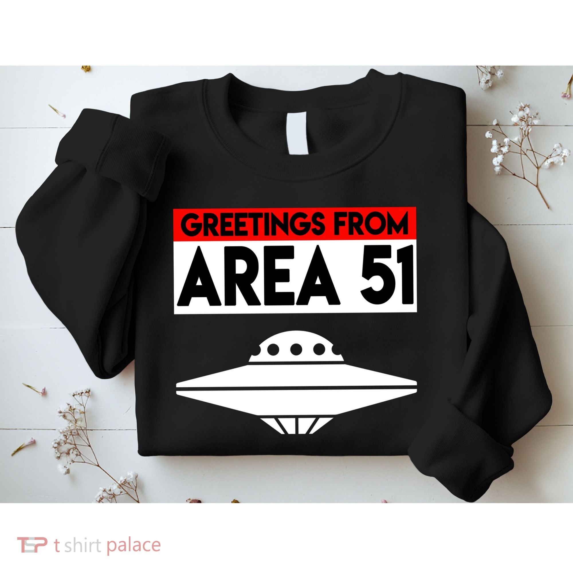 Greetings From Area 51 Sweatshirt