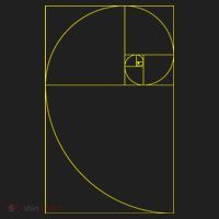 Golden Ratio Fibonacci Sequences Tumbler thumb 3