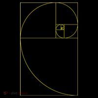 Golden Ratio Fibonacci Sequences Women's Long Sleeve Shirt thumb 2