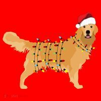 Golden Retriever Holiday Christmas Light Essential Santa Hat thumb 1
