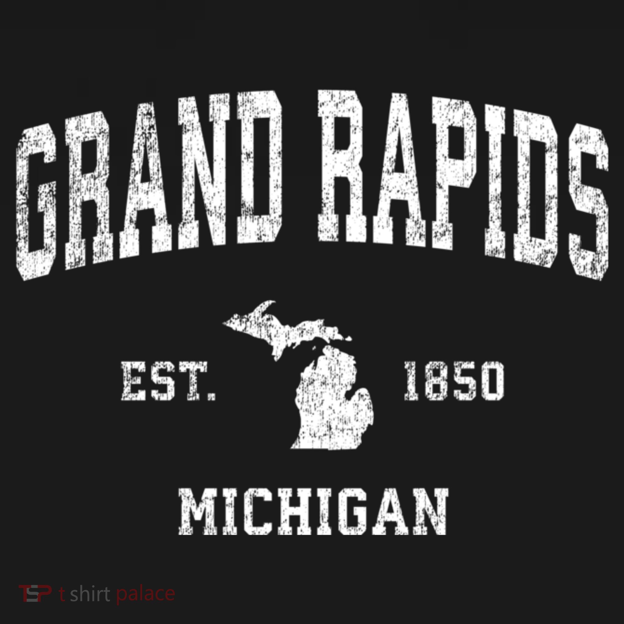 Grand Rapids Michigan Mi Vintage Sports T-Shirt