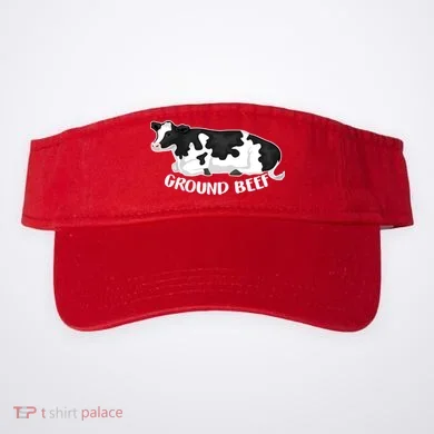 Visor