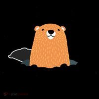 Groundhog Meteorology Respect The Shadow Coffee Mug thumb 5