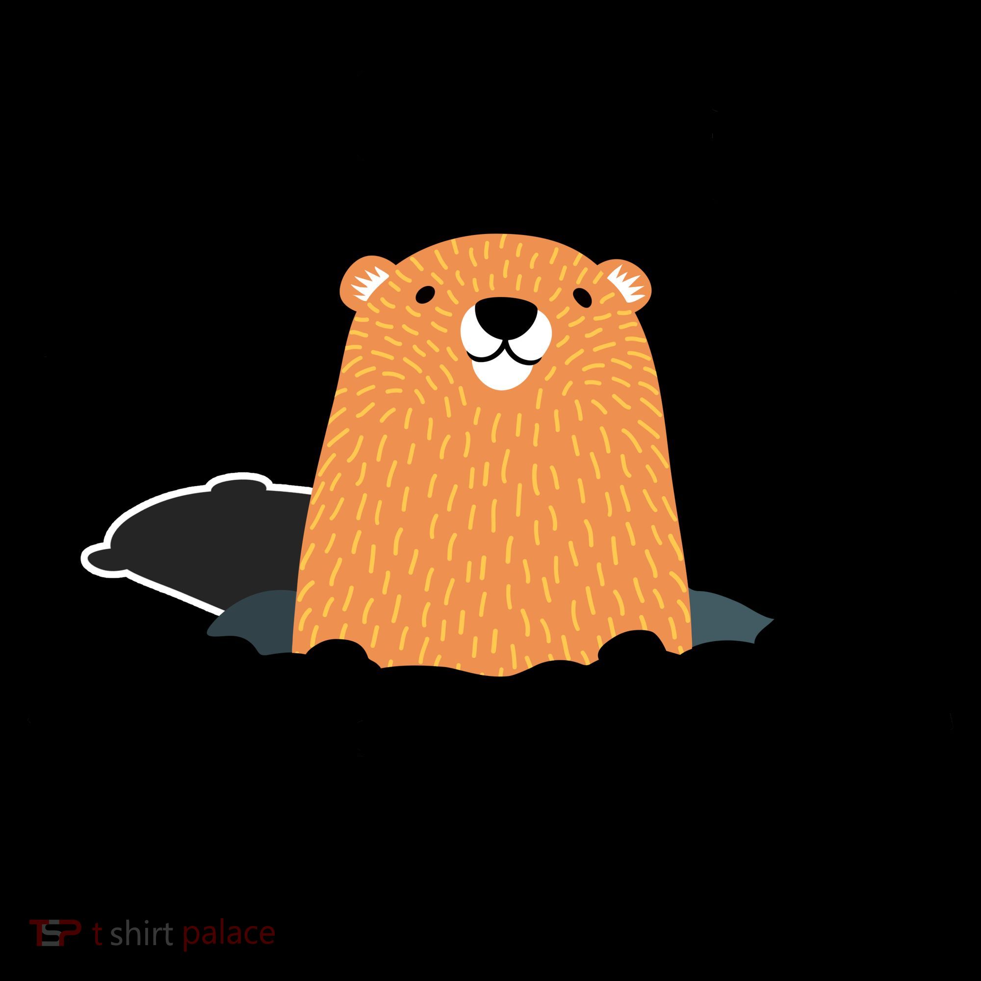 Groundhog Meteorology Respect The Shadow Coffee Mug