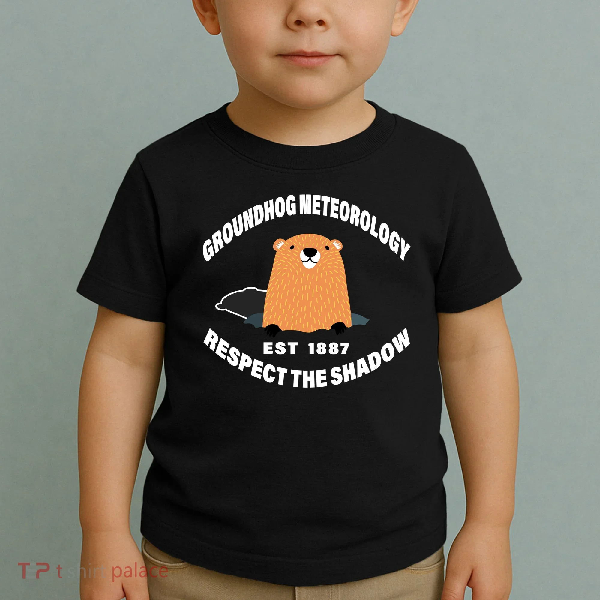 Groundhog Meteorology Respect The Shadow Toddler T-Shirt