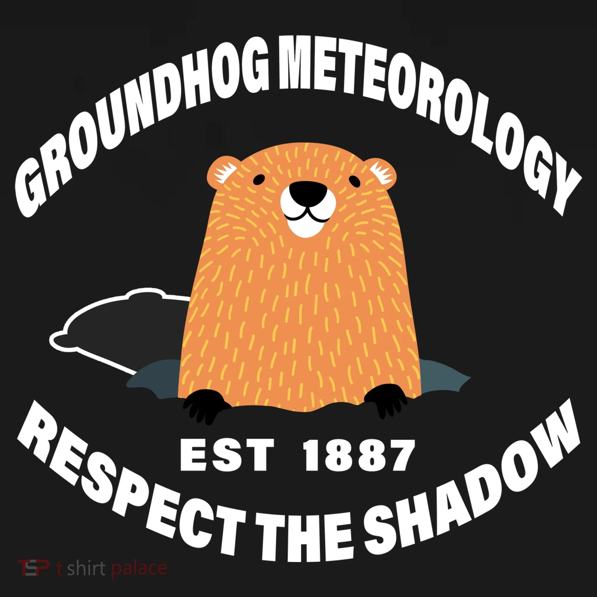 Groundhog Meteorology Respect The Shadow Toddler T-Shirt