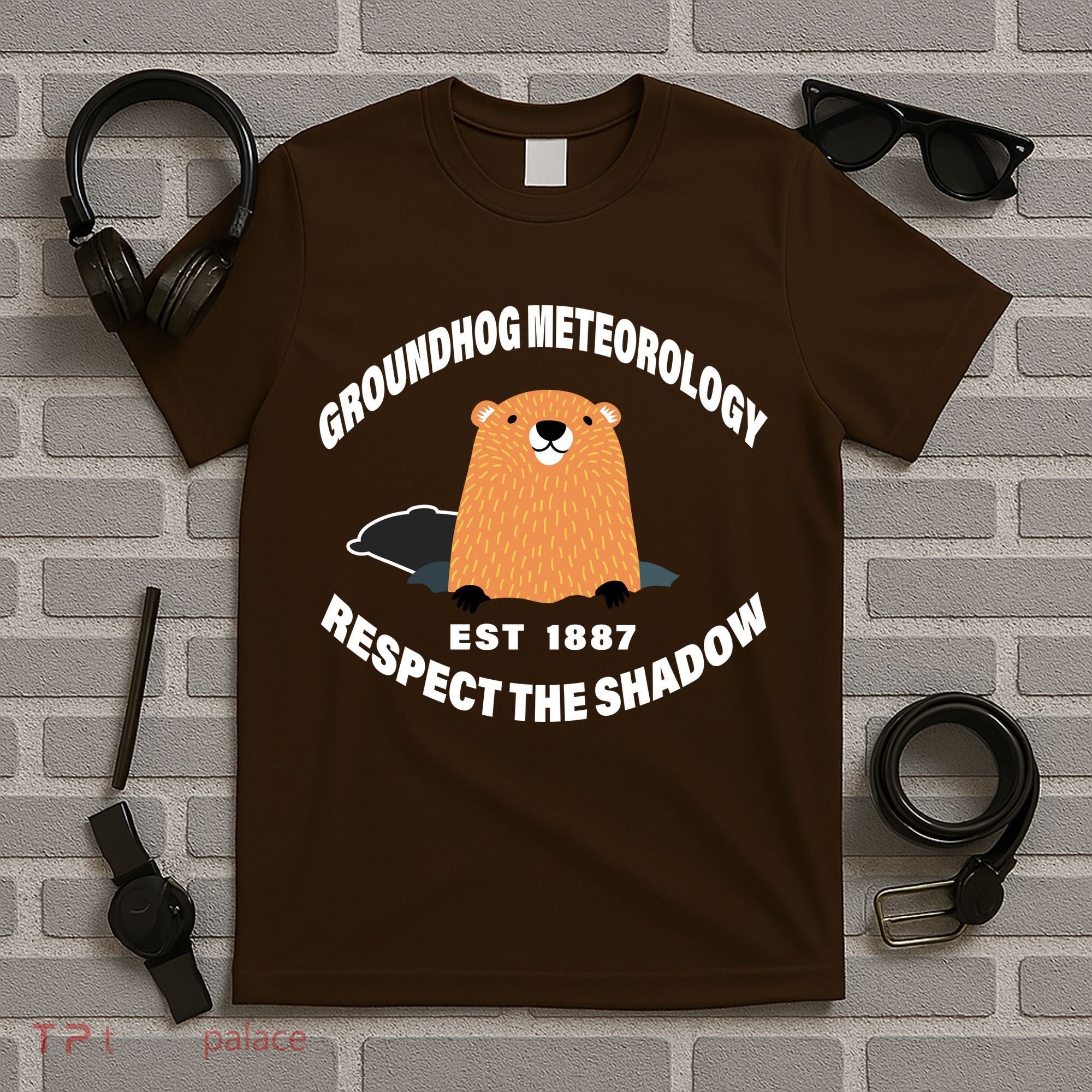 Groundhog Meteorology Respect The Shadow T-Shirt