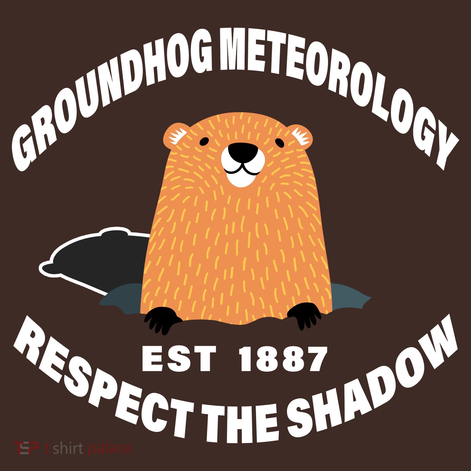 Groundhog Meteorology Respect The Shadow Kids Hoodie