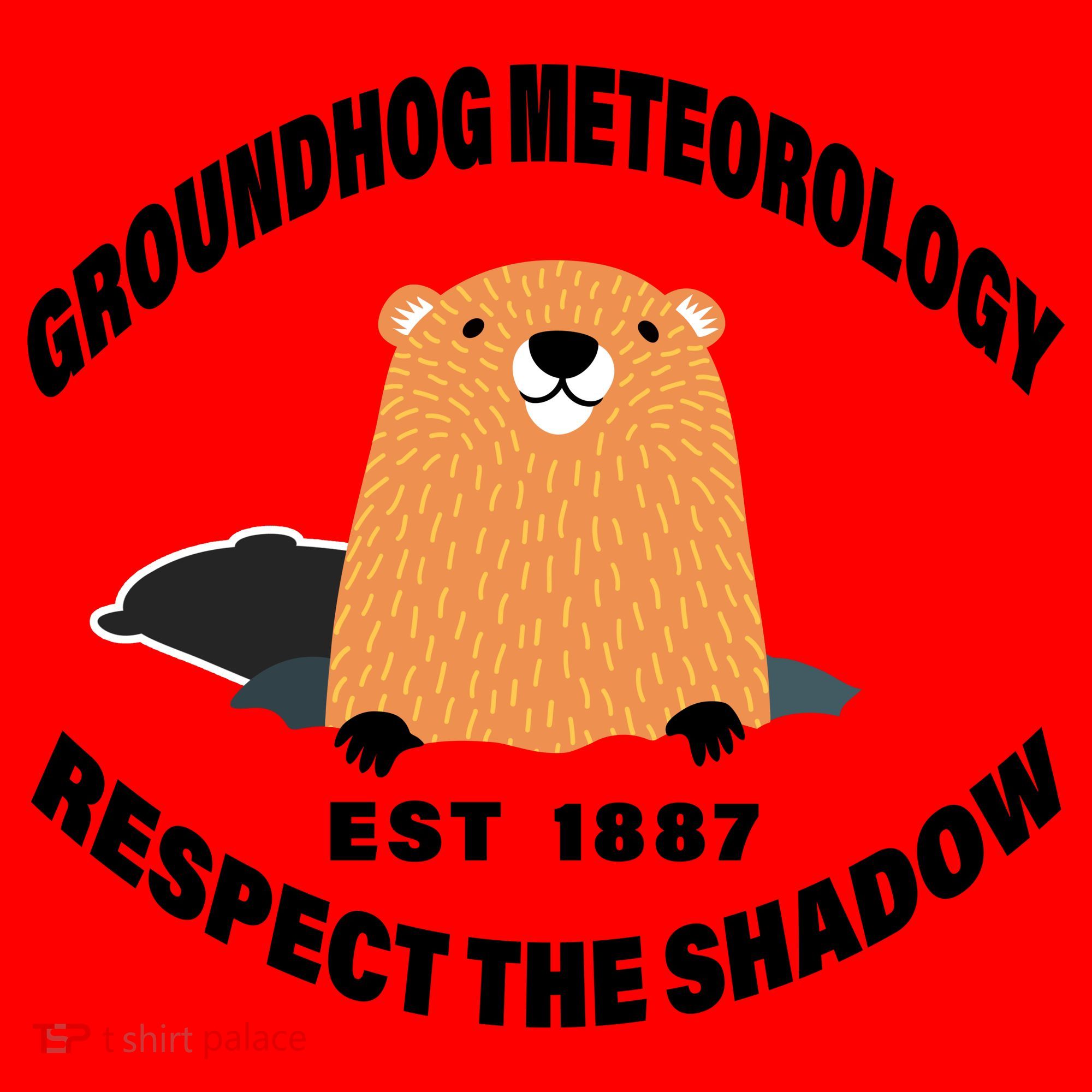 Groundhog Meteorology Respect The Shadow Santa Hat