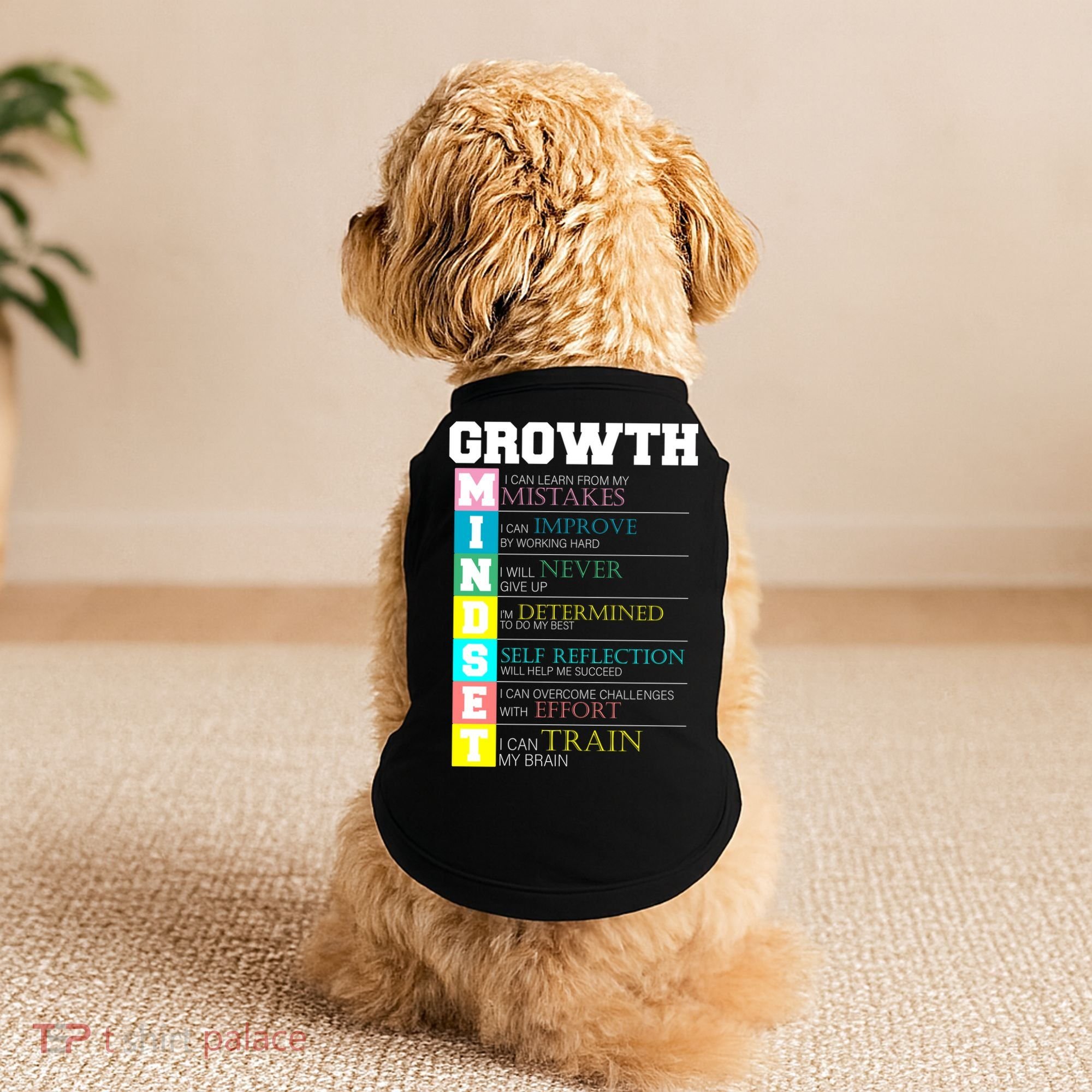 Growth New Mindset And Resolution  Doggie Tank